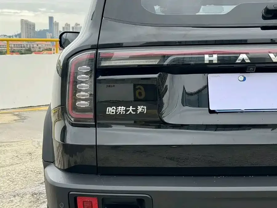 Haval Big dog Haval Big Dog 2024 1.5T DCT Border Collie Edition 2024 — миниатюра 3