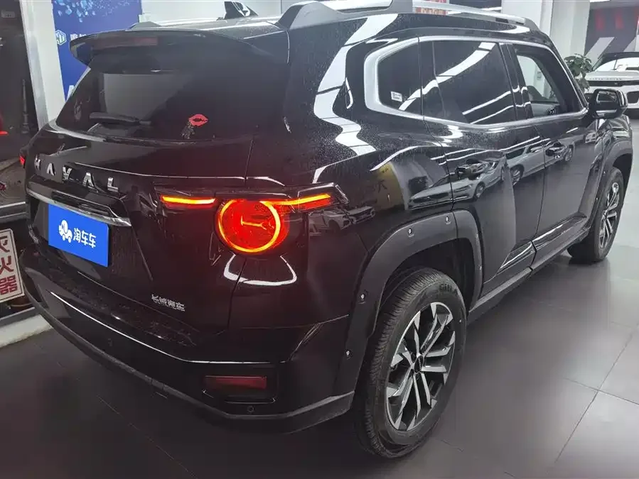 Haval Big Dog PLUS Haval Big Dog PLUS 2023 1.5T 2WD Trendy Wild Edition Plus 2023 — миниатюра 3