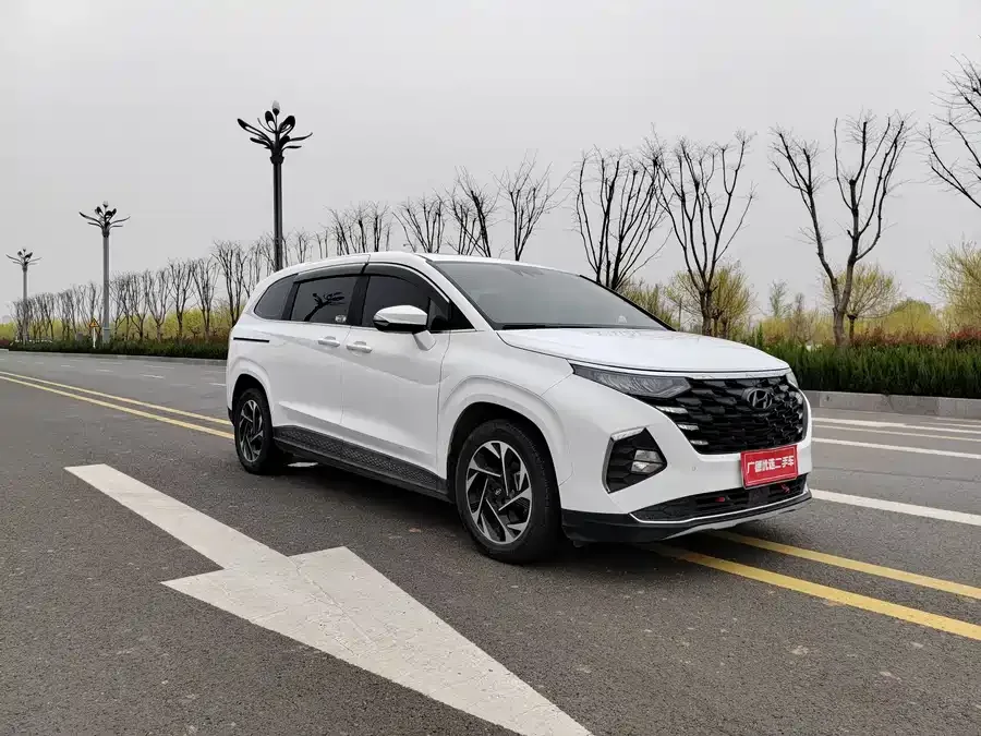 Hyundai Custo Kustu 2021 270TGDi Premium Edition LUX 2024 — миниатюра 3