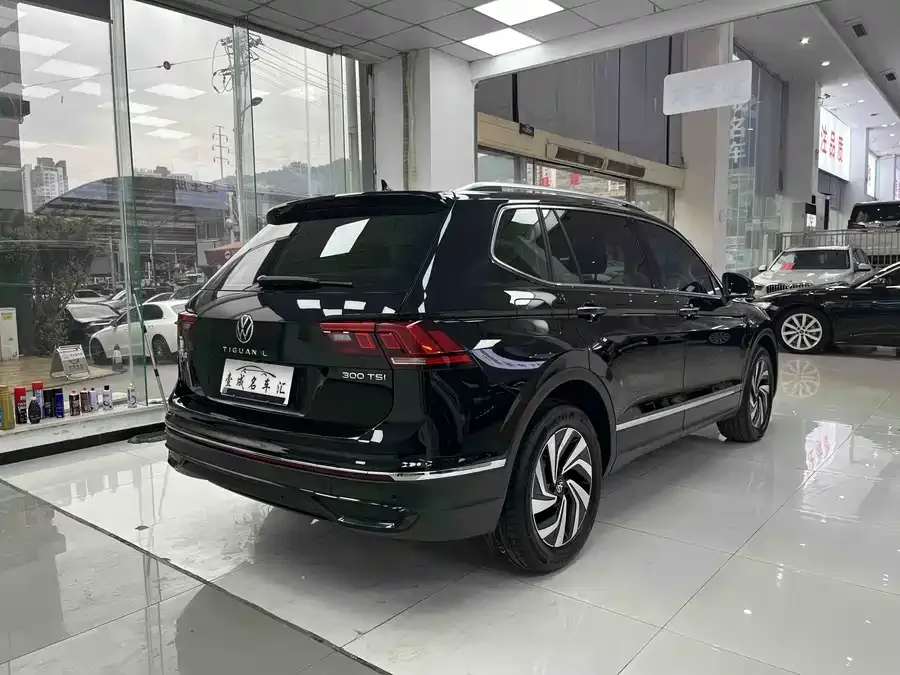 Volkswagen Tiguan L Tiguan L 2025 Outstanding Model 300TSI Automatic 2WD Longteng Edition 2025 — миниатюра 4