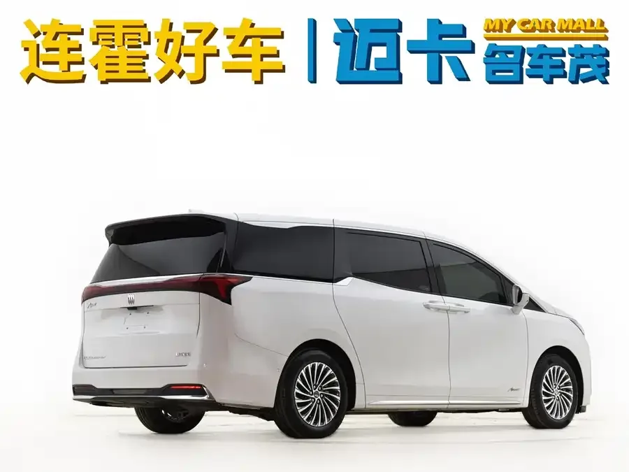 Buick Century Century 2023 2.0T Seven-seat Premium Edition 2024 — миниатюра 2