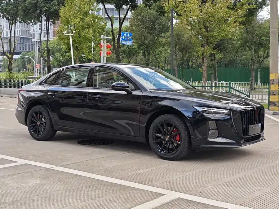 Hongqi H5 Hongqi H5 2025 2.0T Automatic Shadow Edition 2024 — миниатюра 3