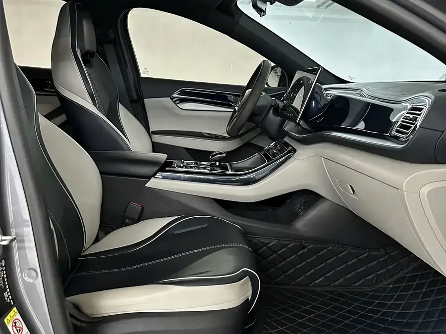 BYD Qin PLUS Qin PLUS 2021 EV 500KM Premium Edition 2023 — миниатюра 2