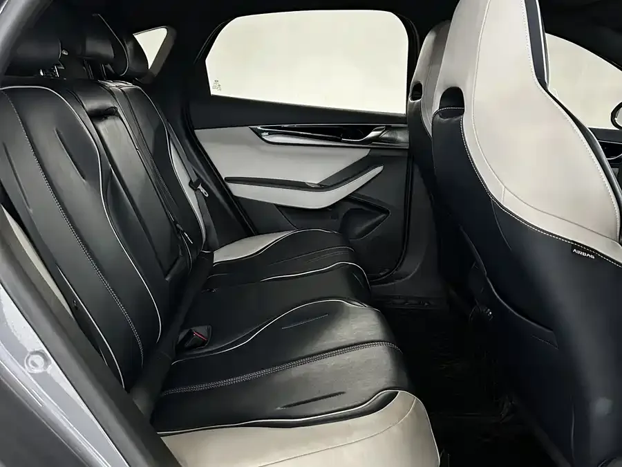 BYD Qin PLUS Qin PLUS 2021 EV 500KM Premium Edition 2023 — миниатюра 4