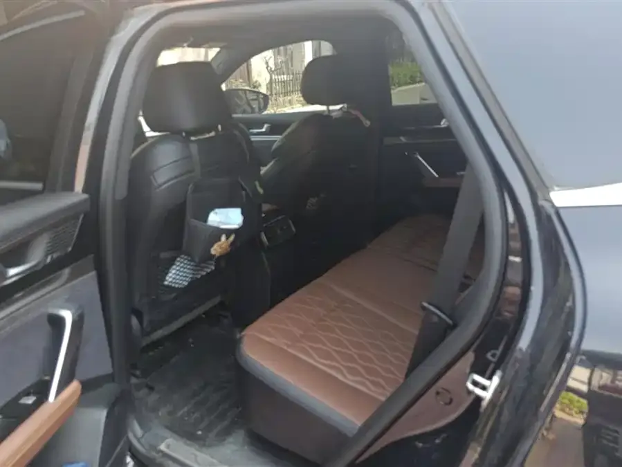 BYD Tang New Energy Tang New Energy 2021 DM-i 112KM Premium Edition 2022 — миниатюра 5