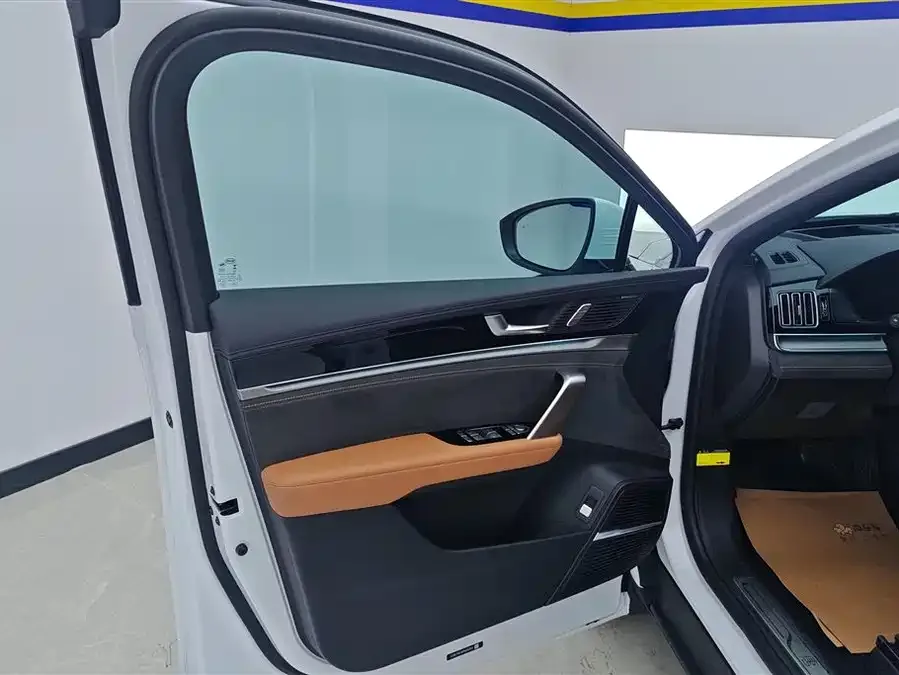 BYD Tang New Energy Tang New Energy 2023 DM-i Champion Edition 112KM Premium Edition 2023 — миниатюра 4