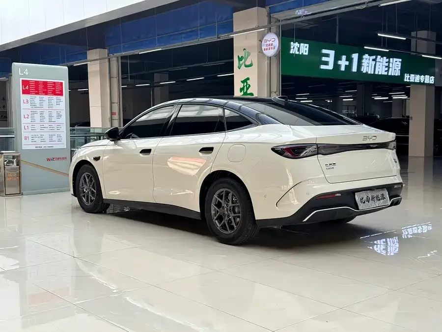 BYD Seal 06 Seal 06 2024 DM-i 80KM Premium 2025 — миниатюра 3