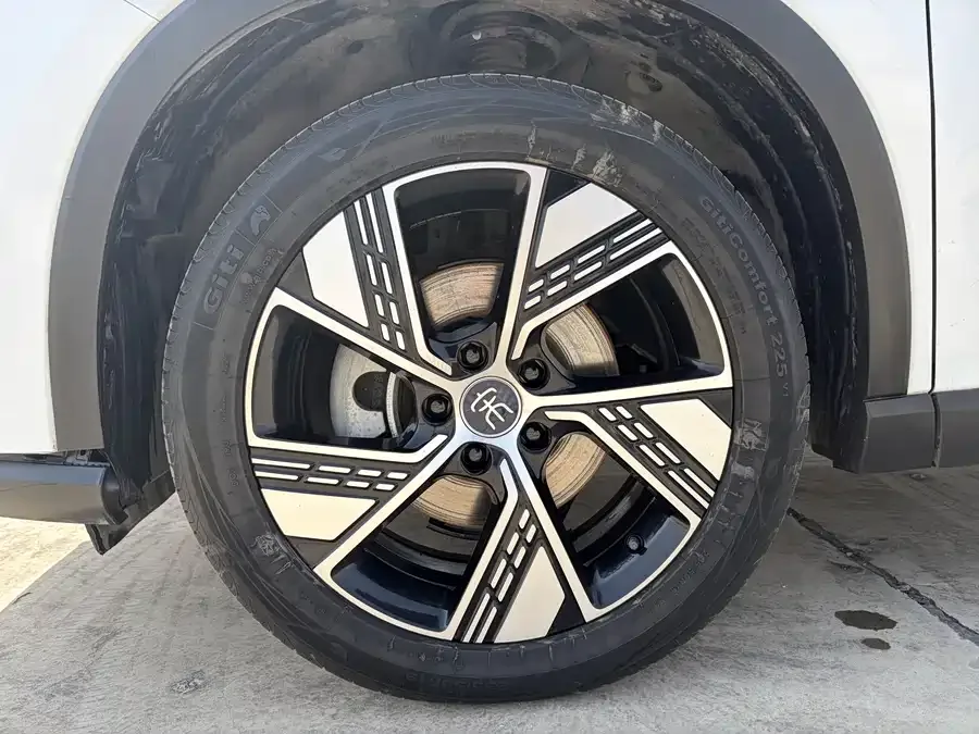 BYD Song Pro New Energy Song Pro New Energy 2023 Champion Edition DM-i 110KM Excellence 2024 — миниатюра 2