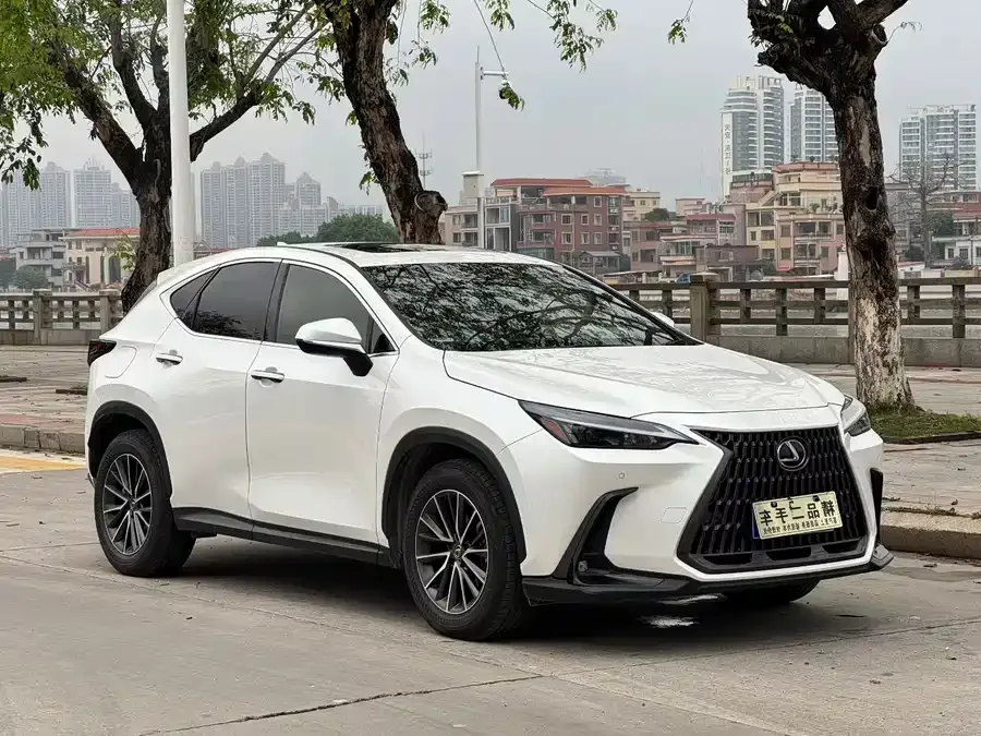 Lexus NX 2023 260 front-wheel drive Chuangyou Special Edition 2023 — фото 1, купить с доставкой в Москву