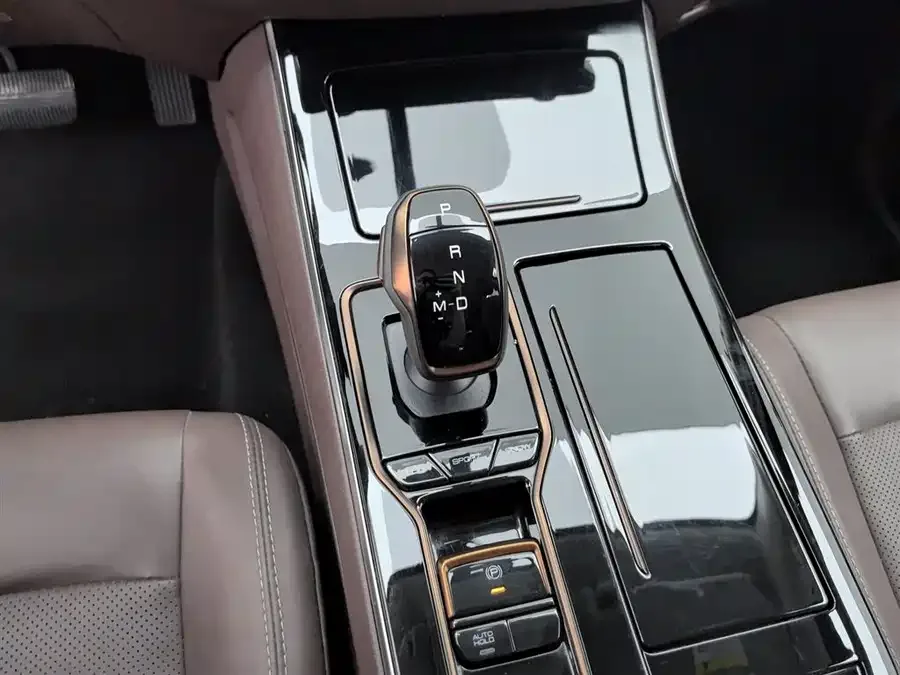 Dongfeng Palazzo Palazzo 2022 2.0T automatic four-wheel drive elegant model 2023 — миниатюра 4
