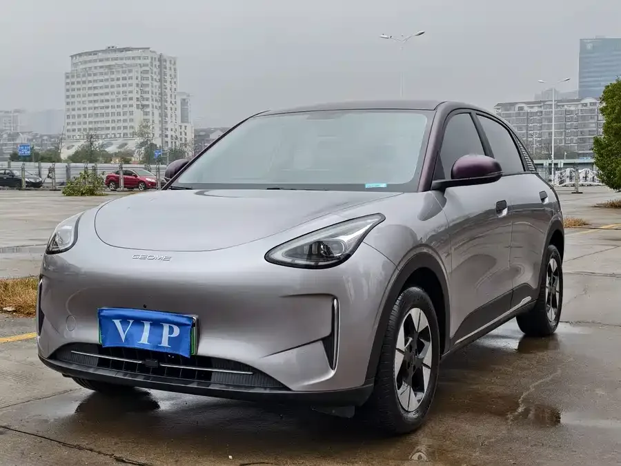 Geely Star Wish Star Wish 2025 310km Dream Edition 2025 — фото 1, купить с доставкой в Москву