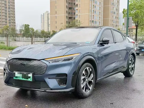 Ford electric horse 2022 купить в Москве