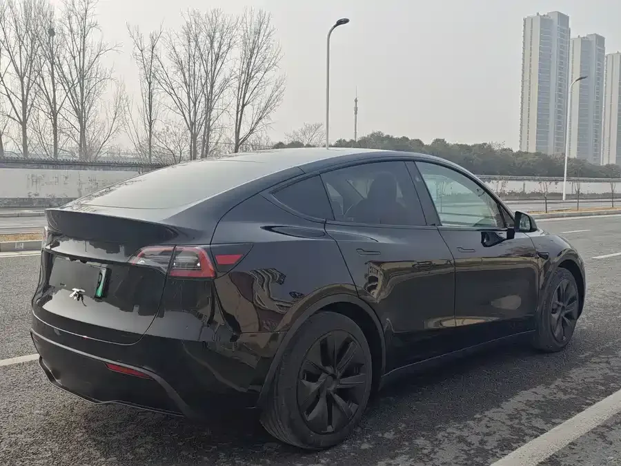 Tesla Model Y Model Y 2024 rear-wheel drive version 2024 — миниатюра 5