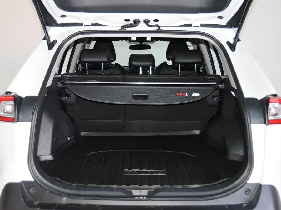 Toyota Wildlander Wildlander 2023 2.0L CVT 2WD Leading Edition 2024 — миниатюра 4