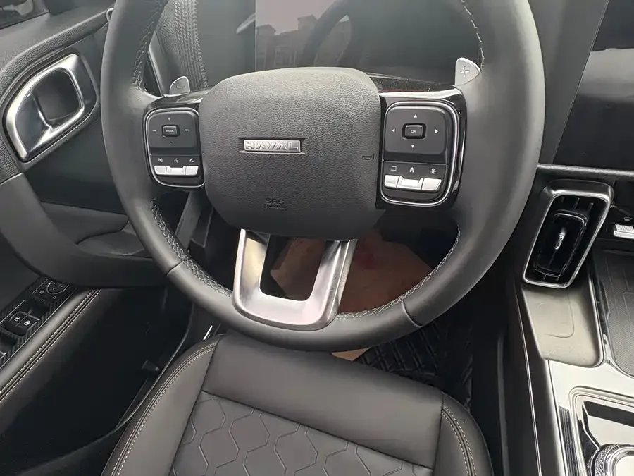 Haval Big dog Haval Big Dog 2024 1.5T DCT Border Collie Edition 2024 — миниатюра 3