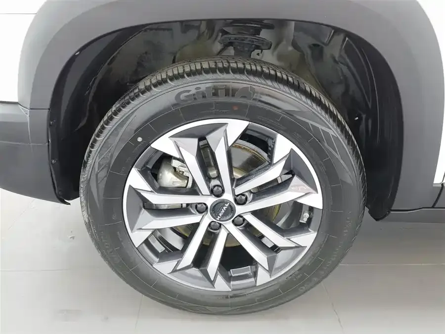 Haval Big dog Haval Big Dog 2024 1.5T DCT Border Collie Edition 2023 — миниатюра 5