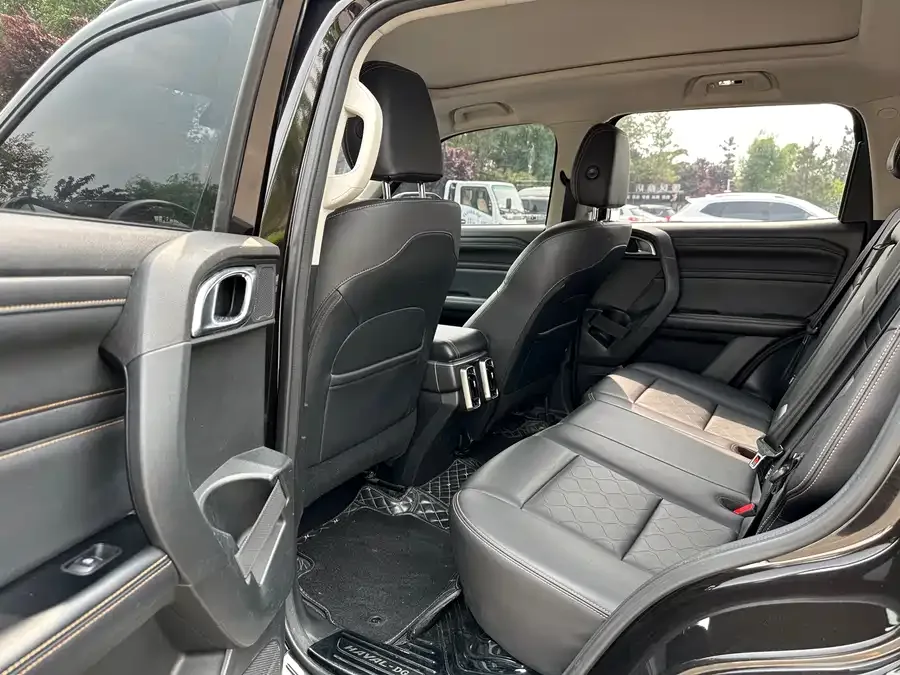 Haval Big dog Haval Big Dog 2022 1.5T DCT 2WD Border Collie Edition 2022 — миниатюра 3