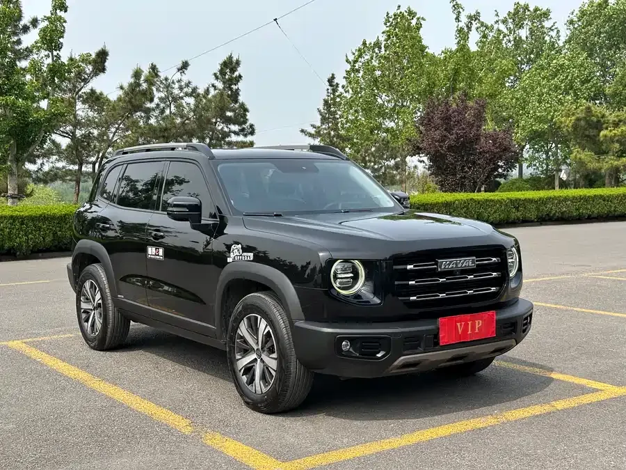 Haval Big dog Haval Big Dog 2022 1.5T DCT 2WD Border Collie Edition 2022 — фото 1, купить с доставкой в Москву
