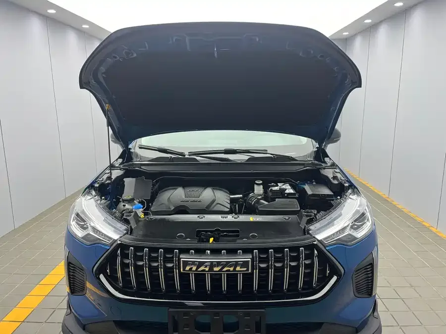 Haval Chitu (Red Rabbit) Haval Red Rabbit 2022 Exclusive Edition 1.5T Brass Rabbit 2022 — миниатюра 5