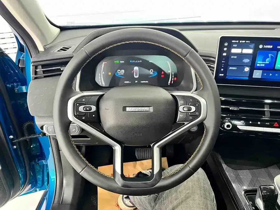 Haval Chitu (Red Rabbit) Haval Chitu 2022 Jinxiang Edition 1.5T Bronze Rabbit 2022 — миниатюра 5