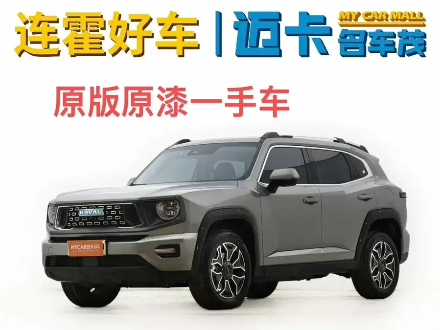 Haval Big Dog PLUS New Energy Haval Big Dog PLUS New Energy 2023 DHT-PHEV 105km Trendy Electric Edition Plus 2024 — фото 1, купить с доставкой в Москву