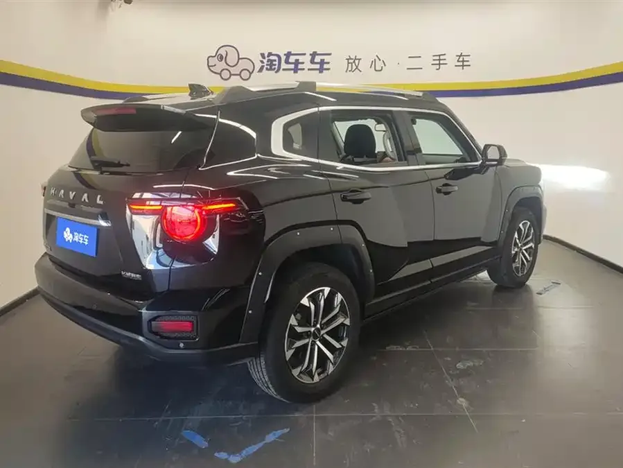 Haval Big Dog PLUS Haval Big Dog PLUS 2023 2.0T 2WD Trendy Wild Edition Plus 2024 — миниатюра 3