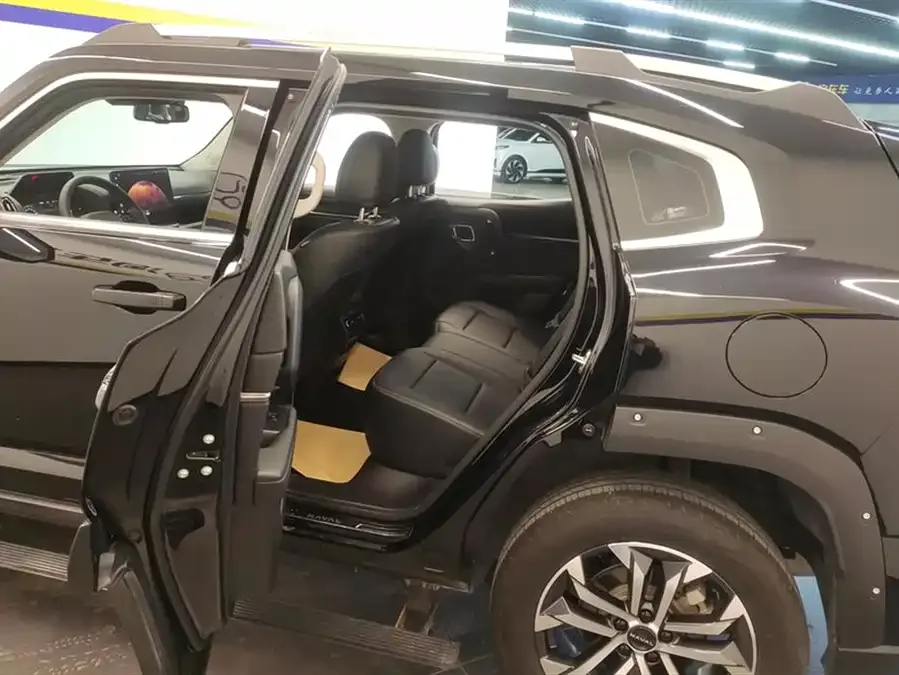 Haval Big Dog PLUS Haval Big Dog PLUS 2023 2.0T 2WD Trendy Wild Edition Plus 2024 — миниатюра 5