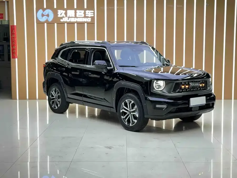 Haval Big Dog PLUS Haval Big Dog PLUS 2023 2.0T 2WD Trendy Wild Edition Plus 2024 — миниатюра 3
