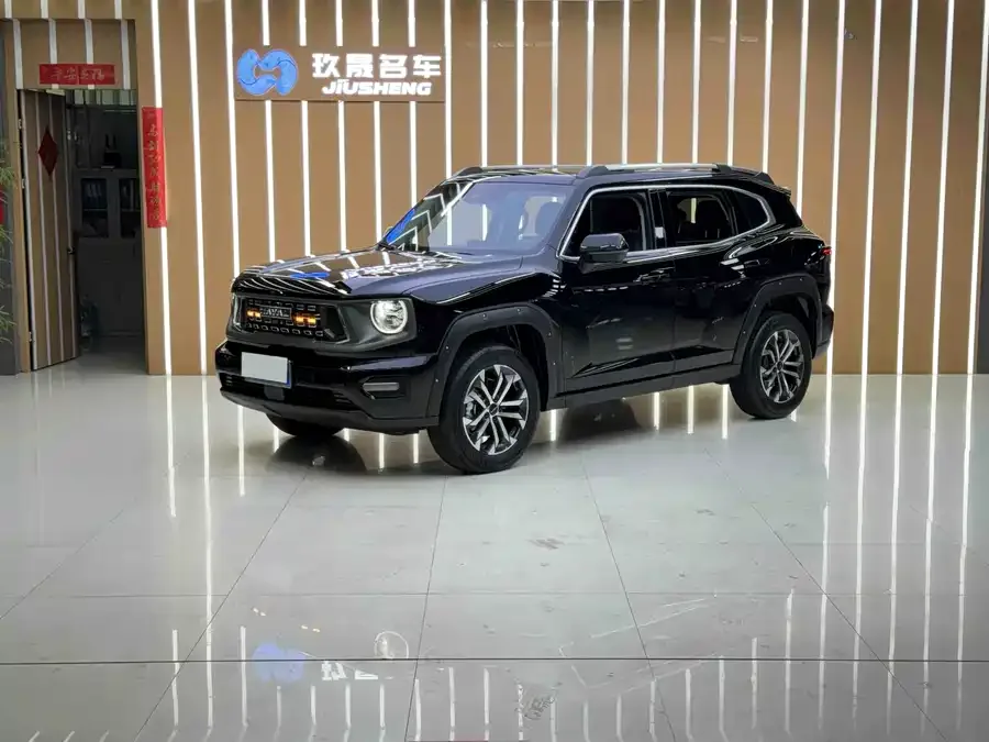 Haval Big Dog PLUS Haval Big Dog PLUS 2023 2.0T 2WD Trendy Wild Edition Plus 2024 — фото 1, купить с доставкой в Москву
