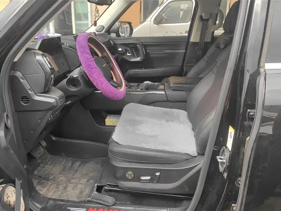 Haval Big Dog PLUS Haval Big Dog PLUS 2023 1.5T 2WD Trendy Wild Edition Plus 2024 — миниатюра 3