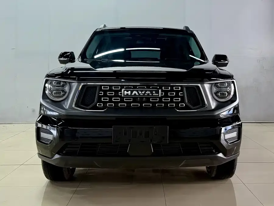 Haval Big Dog PLUS Haval Big Dog PLUS 2023 1.5T 2WD Trendy Wild Edition Plus 2024 — фото 1, купить с доставкой в Москву