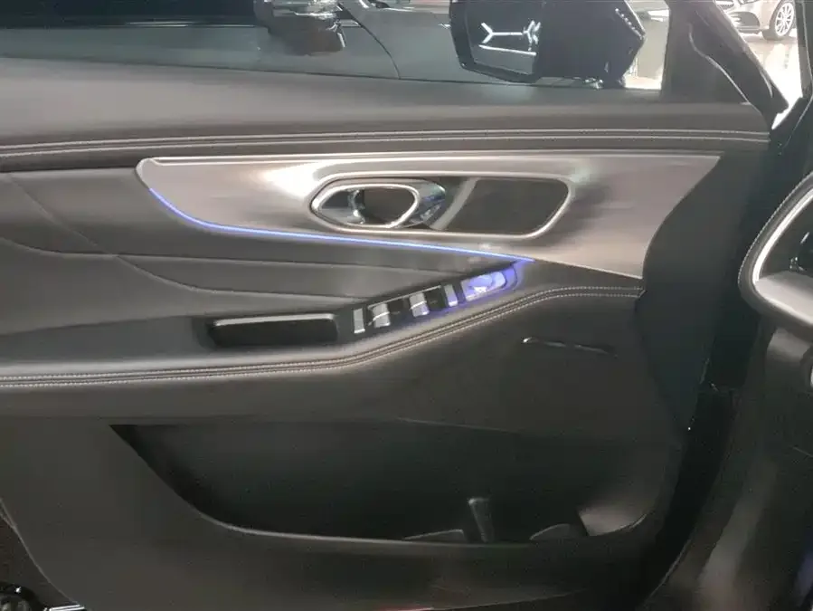 GAC Trumpchi GS8 Trumpchi GS8 2024 Navigator Series 2.0TGDI 2WD Luxury Intelligent Connected Edition 7-Seater 2023 — миниатюра 4