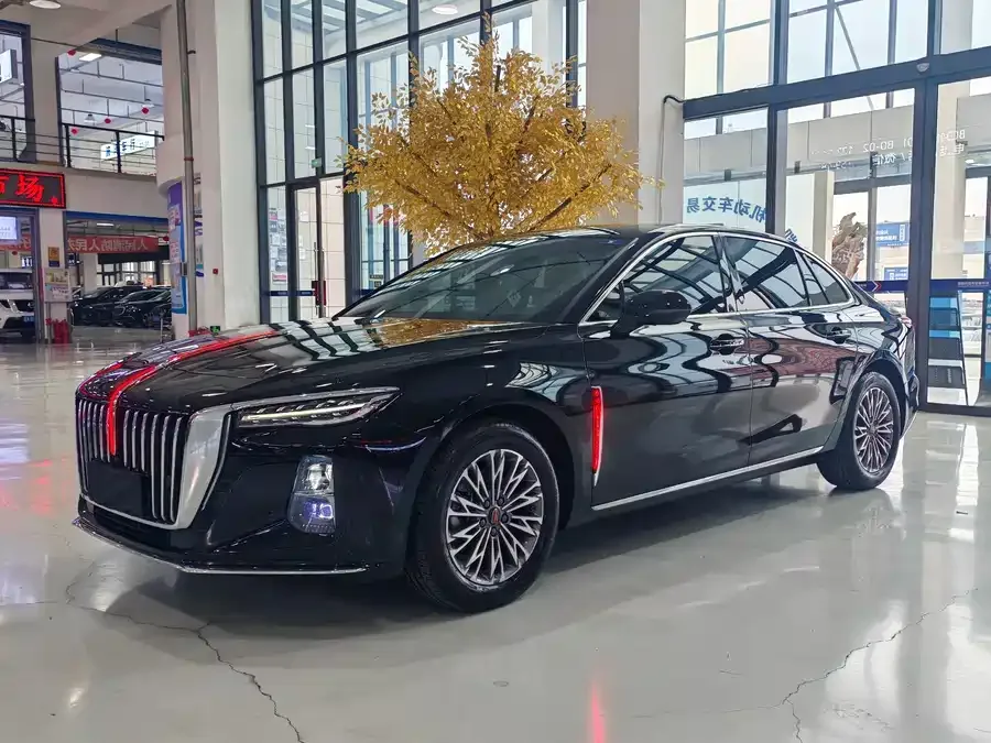 Hongqi H5 Hongqi H5 2023 2.0T Automatic Intelligent Connected Flag Edition 2023 — фото 1, купить с доставкой в Москву