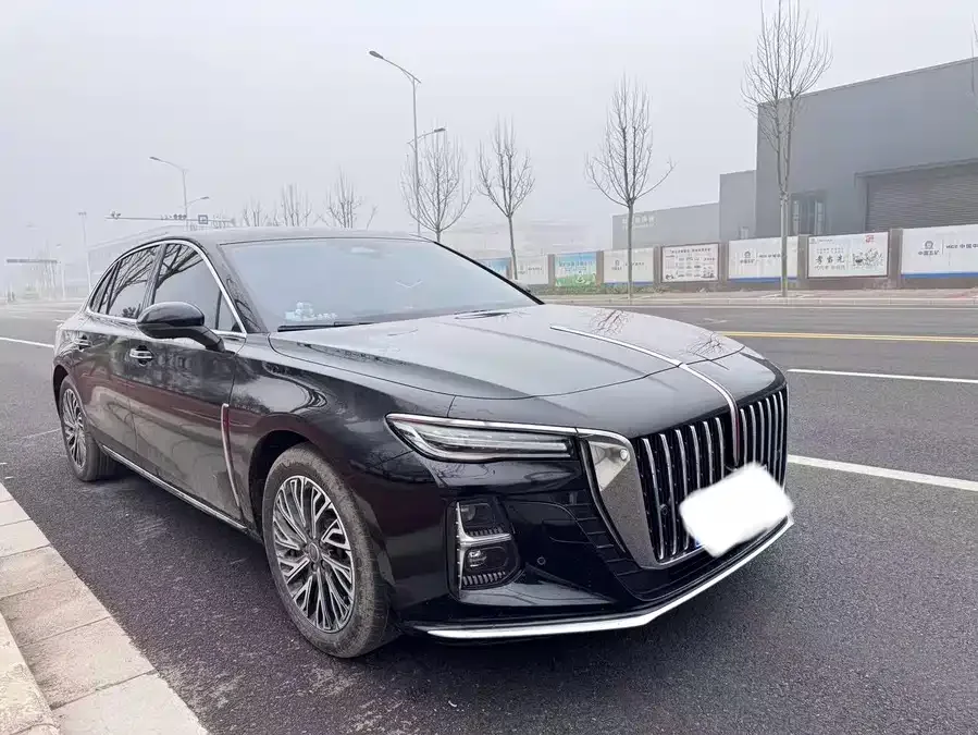 Hongqi H5 Hongqi H5 2025 2.0T Automatic Flagship Edition 2025 — миниатюра 3