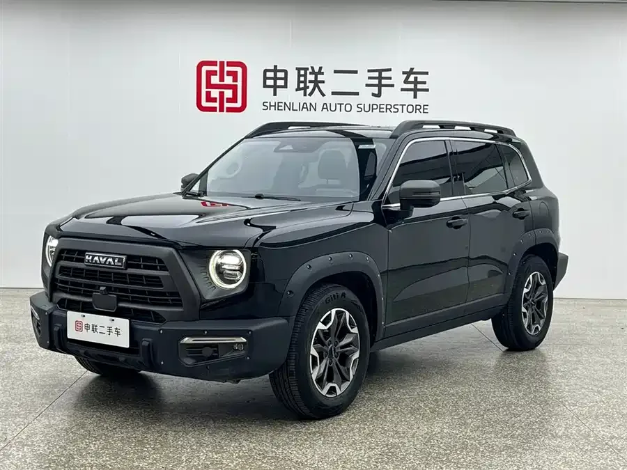 Haval Big dog Haval Big Dog 2024 2.0T DCT Chinese Pastoral Dog Edition 2023 — фото 1, купить с доставкой в Москву