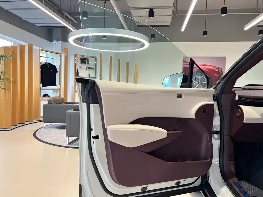 Zeekr X Zeekr X 2025 four-seat rear-wheel drive cube version 2024 — миниатюра 4