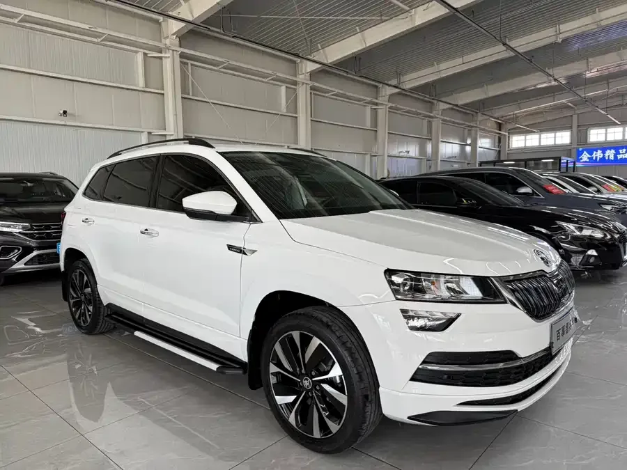 Skoda Karoq Korok 2022 TSI280 Premium Edition 2022 — миниатюра 3