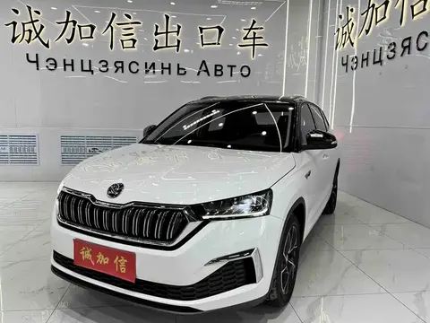 Skoda Kamiq 2023 buy in Moscow