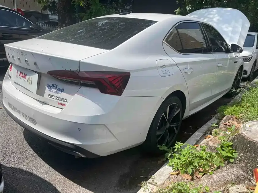 Skoda Octavia Octavia 2022 PRO TSI280 Premium Edition 2022 — миниатюра 3