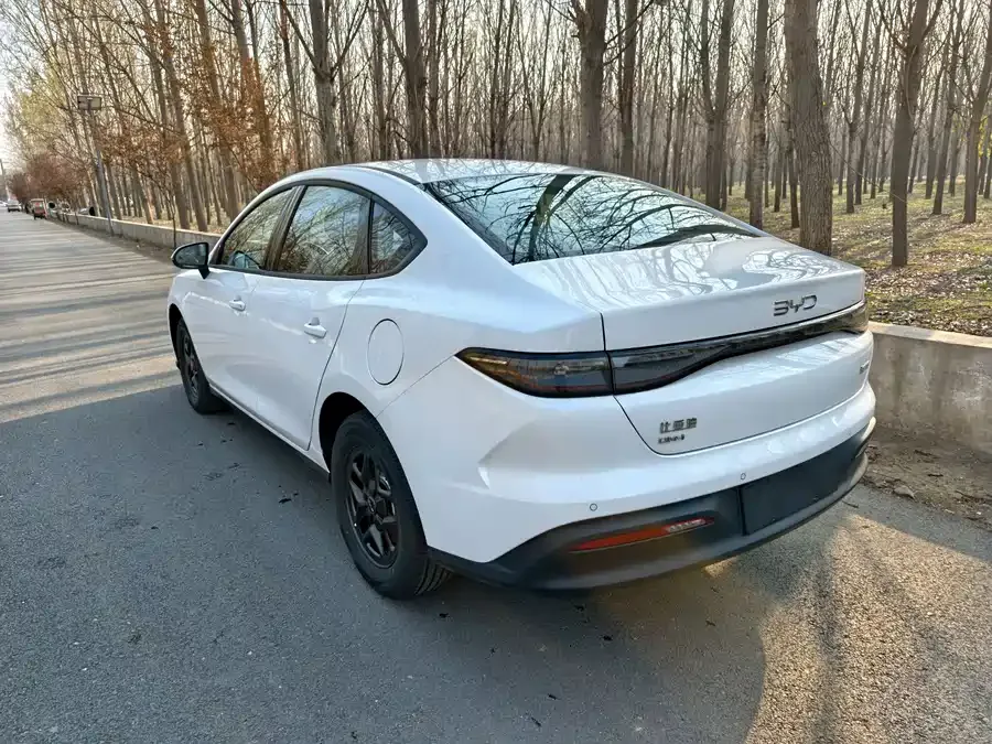 BYD seal 05 DM-i Seal 05 DM-i 2026 DM-i 128KM Luxury Edition 2026 — миниатюра 2