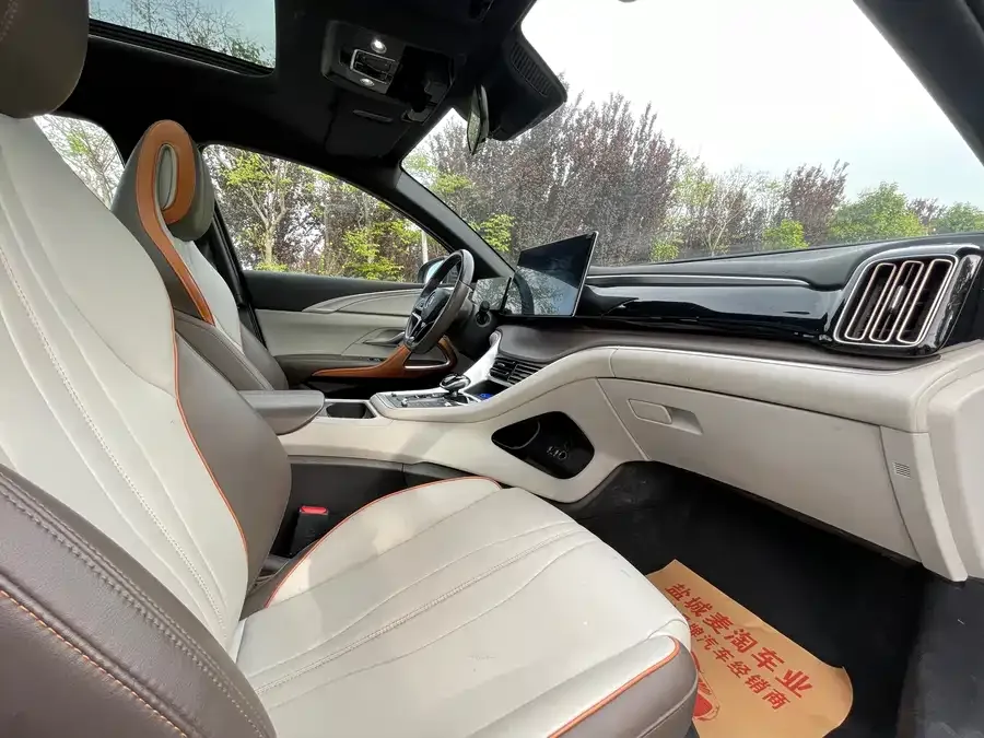 BYD Song Pro New Energy Song Pro New Energy 2022 DM-i 51km Premium Edition 2022 — миниатюра 3