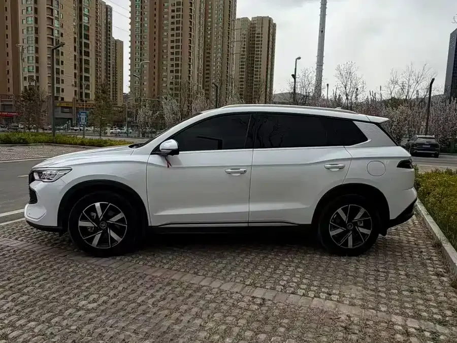 BYD Song Pro New Energy Song Pro New Energy 2024 Honor Edition DM-i 71KM Pilot Edition 2024 — миниатюра 2