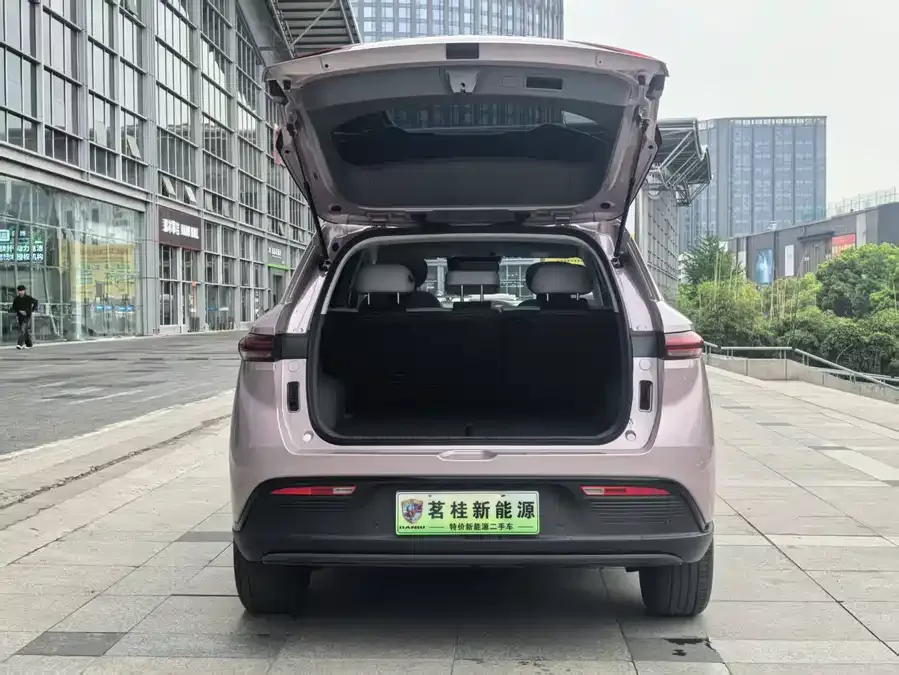 Pentium Yueyi 03 Yueyi 03 2025 565km Enjoy Edition 2025 — миниатюра 3