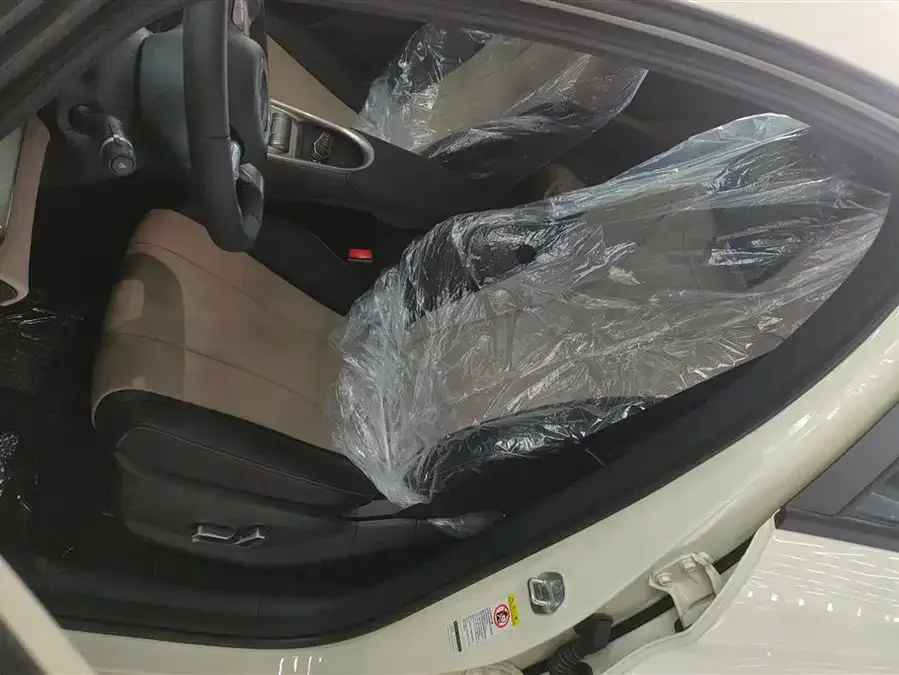 BYD Dolphin Dolphin 2025 420KM Freedom Edition 2026 — миниатюра 3