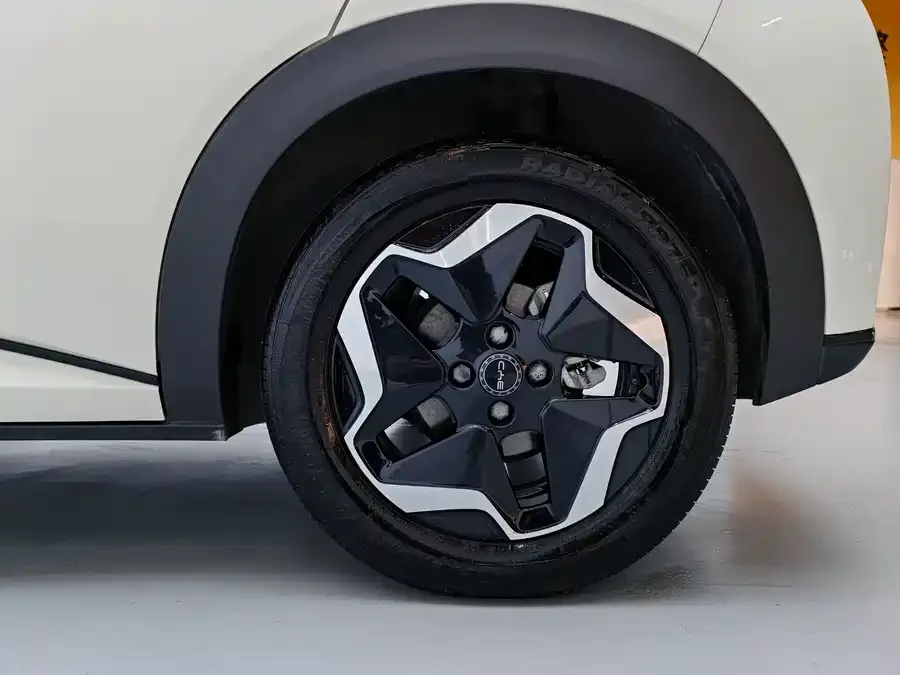 BYD Dolphin Dolphin 2025 420KM Vitality Edition 2025 — миниатюра 4