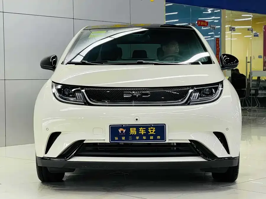 BYD Dolphin Dolphin 2024 Honor Edition 420km Fashion Edition 2024 — миниатюра 3