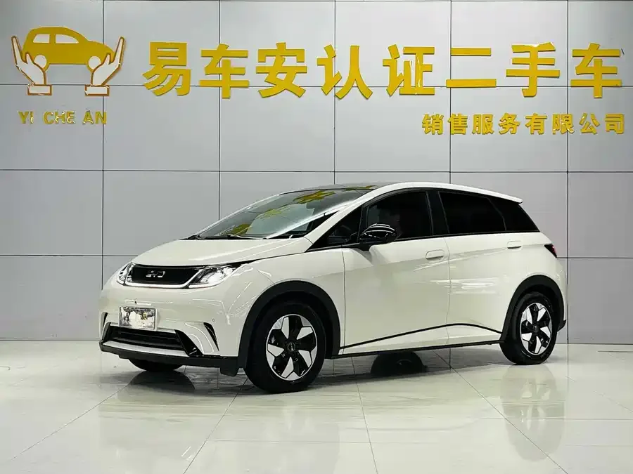 BYD Dolphin Dolphin 2024 Honor Edition 420km Fashion Edition 2024 — фото 1, купить с доставкой в Москву