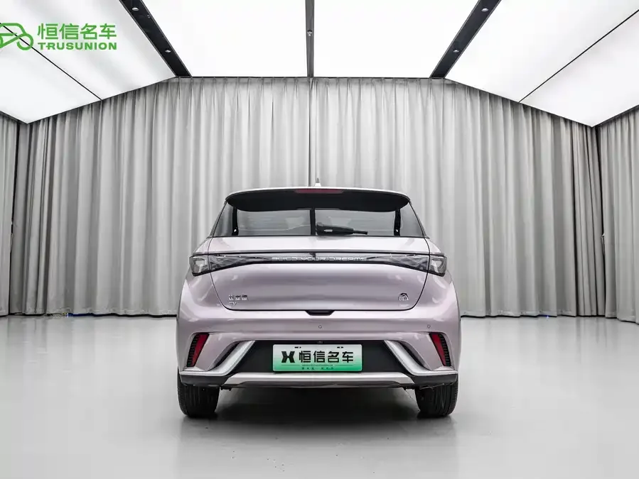 BYD Dolphin Dolphin 2023 420km Fashion Edition 2024 — миниатюра 2