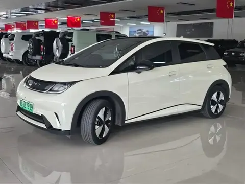 BYD Dolphin 2023 buy in Moscow