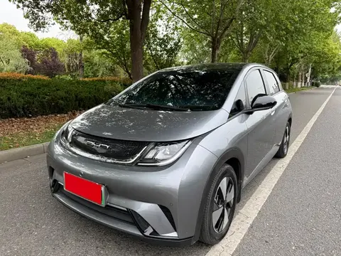 BYD Dolphin 2023 buy in Moscow
